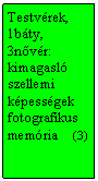 Szvegdoboz: Testvrek, 1bty, 3nvr:
kimagasl szellemi kpessgek
fotografikus memria    (3)
